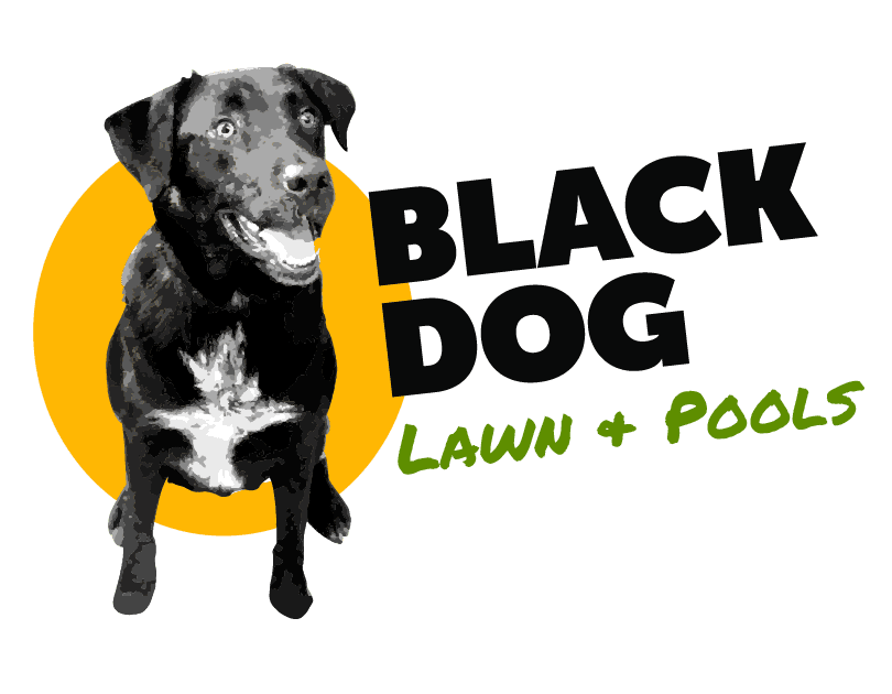 Black Dog Lawn & Pools